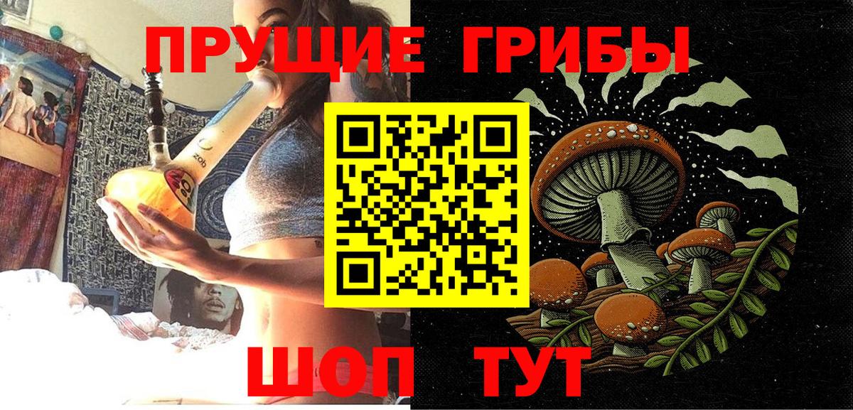 Галлюциногенные грибы Cubensis Луга