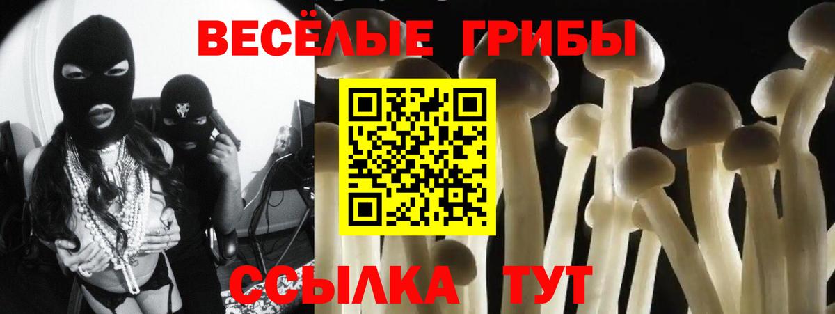 Луга  цены   Вход с VPN  Галлюциногенные грибы Cubensis 